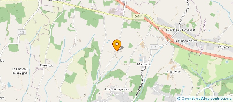 localisation de l'entreprise MONSIEUR CHRISTOPHE CHAZELAS à SAINT-VICTURNIEN