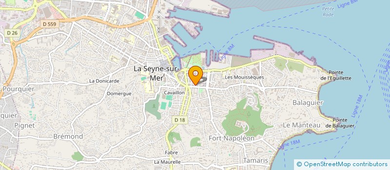 localisation de l'entreprise MONSIEUR CHRISTOPHE DE CILLIS à LA SEYNE-SUR-MER