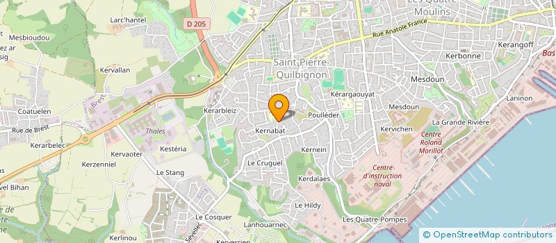 localisation de l'entreprise MONSIEUR CHRISTOPHE DESBOIS à BREST