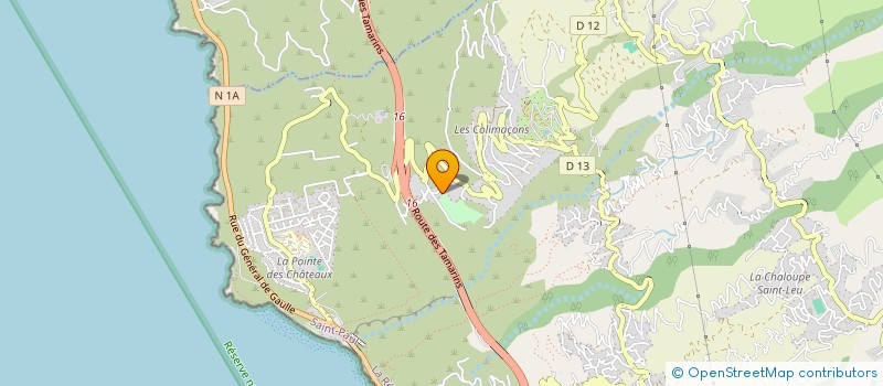 localisation de l'entreprise MONSIEUR CHRISTOPHE DUBOIS  SAINT-LEU