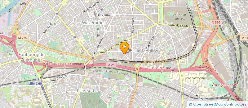localisation de l'entreprise MONSIEUR CHRISTOPHE DUJARDIN à LILLE