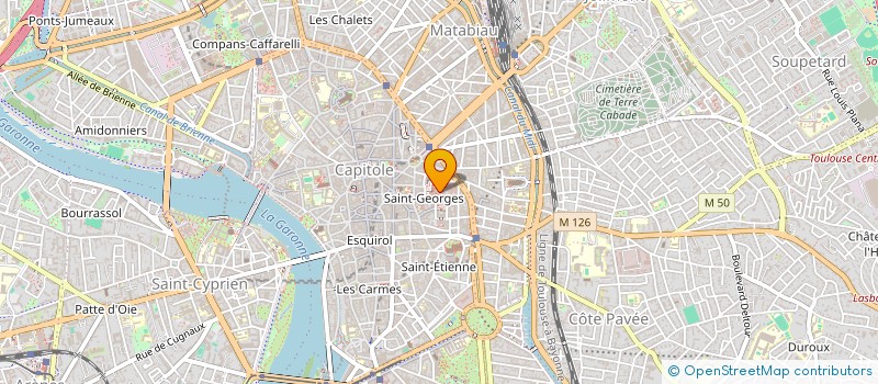 localisation de l'entreprise MONSIEUR CHRISTOPHE DULON  TOULOUSE