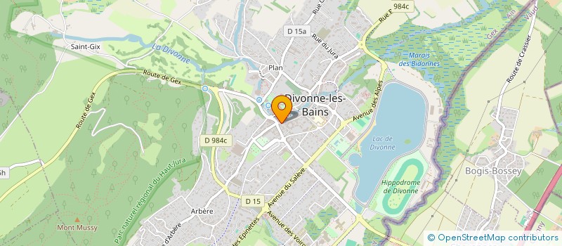 localisation de l'entreprise MONSIEUR CHRISTOPHE DURAND  DIVONNE-LES-BAINS