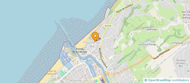 localisation de l'entreprise MONSIEUR CHRISTOPHE ETIENNE MAURICE  TROUVILLE-SUR-MER