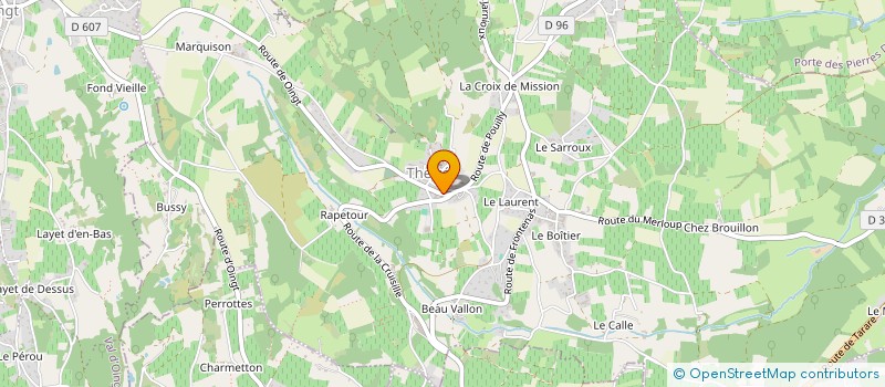 localisation de l'entreprise MONSIEUR CHRISTOPHE FERREIRA à THEIZE