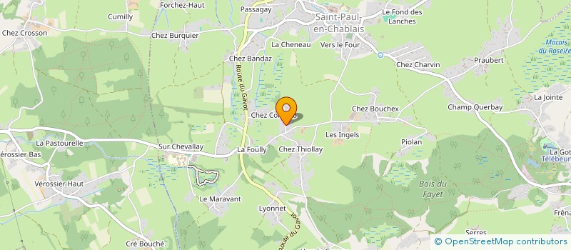 localisation de l'entreprise MONSIEUR CHRISTOPHE FURLANI  SAINT-PAUL-EN-CHABLAIS