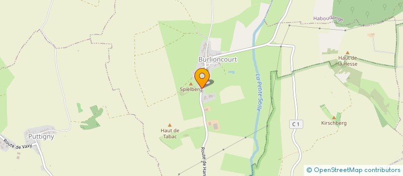 localisation de l'entreprise MONSIEUR CHRISTOPHE JURGENS  BURLIONCOURT