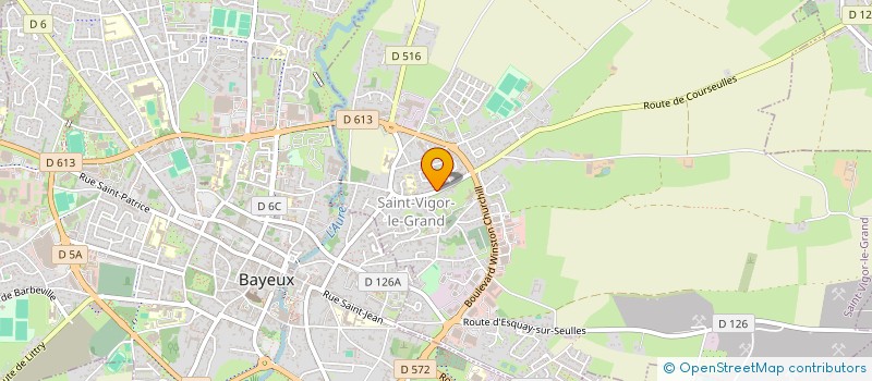 localisation de l'entreprise MONSIEUR CHRISTOPHE LARONCHE  SAINT-VIGOR-LE-GRAND