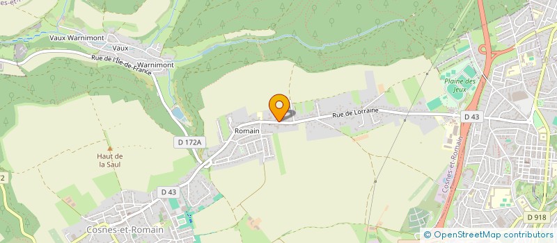 localisation de l'entreprise MONSIEUR CHRISTOPHE LASFER  COSNES-ET-ROMAIN