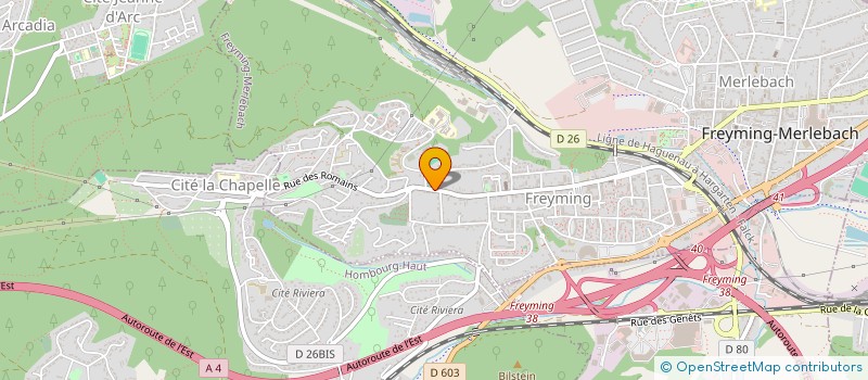 localisation de l'entreprise MONSIEUR CHRISTOPHE LE SAUCE  FREYMING-MERLEBACH