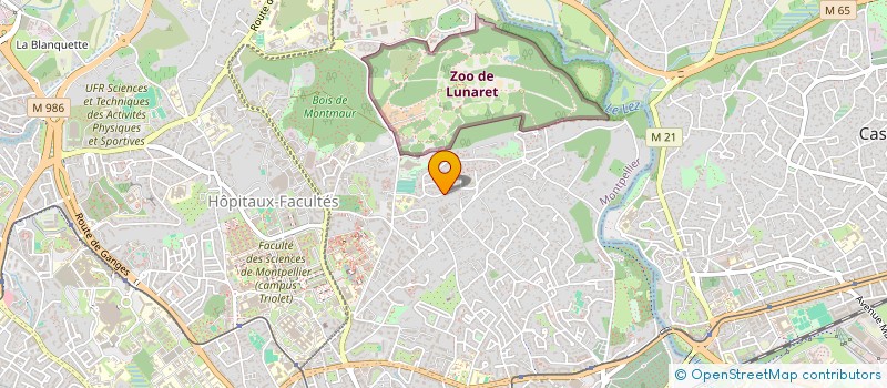 localisation de l'entreprise MONSIEUR CHRISTOPHE LEONARD à MONTPELLIER