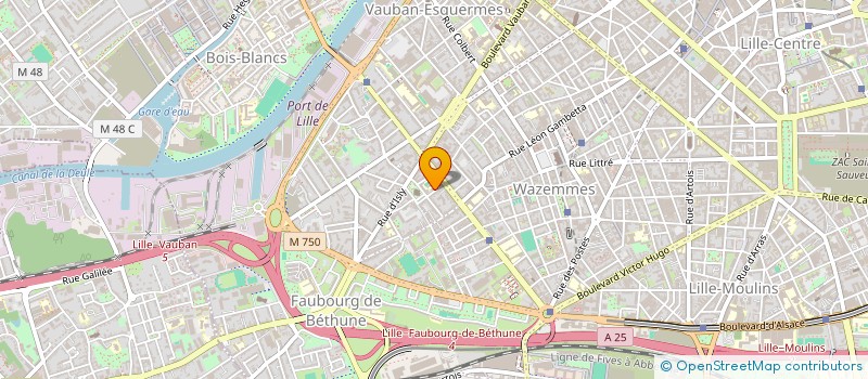localisation de l'entreprise MONSIEUR CHRISTOPHE LESCHEVIN à LILLE