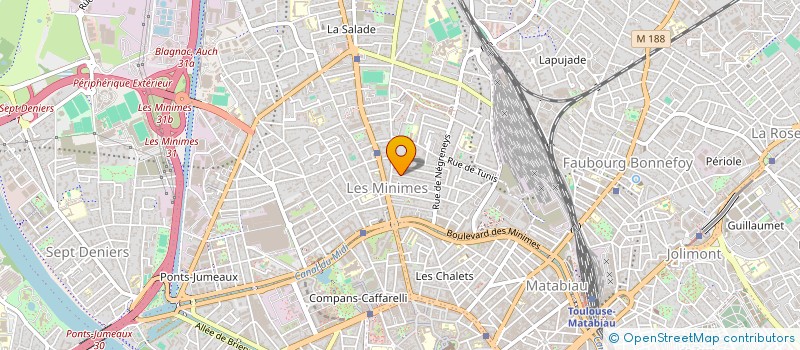 localisation de l'entreprise MONSIEUR CHRISTOPHE LEYRONAS à TOULOUSE