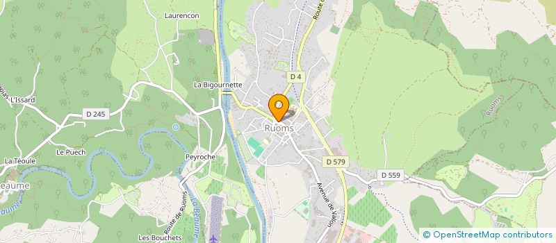 localisation de l'entreprise MONSIEUR CHRISTOPHE MALINCONICO  RUOMS