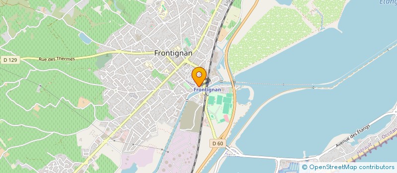 localisation de l'entreprise MONSIEUR CHRISTOPHE MANZ à FRONTIGNAN