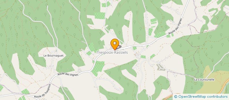 localisation de l'entreprise MONSIEUR CHRISTOPHE MARCOZ  TRESPOUX-RASSIELS