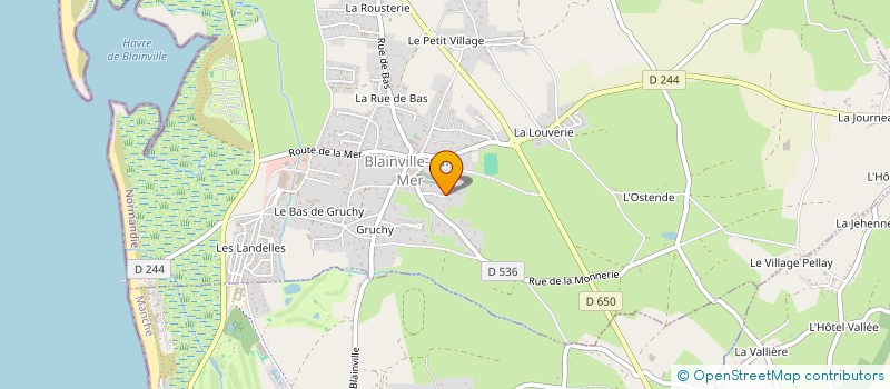 localisation de l'entreprise MONSIEUR CHRISTOPHE MAUGER  BLAINVILLE-SUR-MER