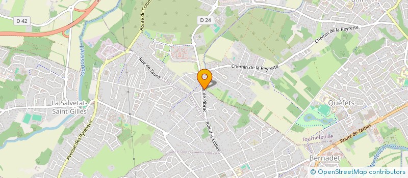 localisation de l'entreprise MONSIEUR CHRISTOPHE MICHEL MARTIN  PLAISANCE-DU-TOUCH