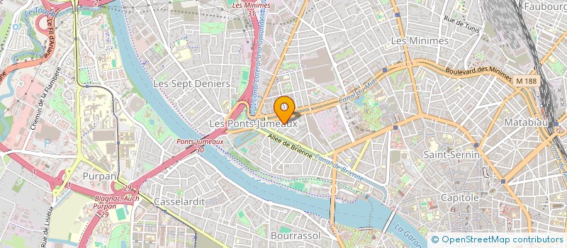 localisation de l'entreprise MONSIEUR CHRISTOPHE MOULINIER à TOULOUSE