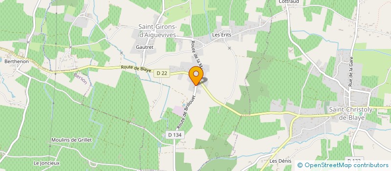 localisation de l'entreprise MONSIEUR CHRISTOPHE MOUTINHO  SAINT-SAVIN