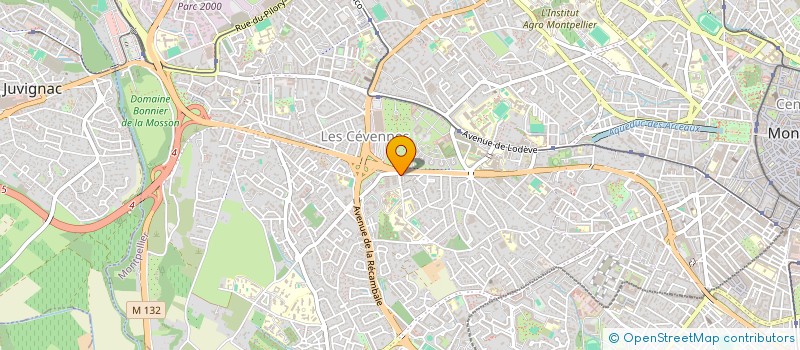 localisation de l'entreprise MONSIEUR CHRISTOPHE ORDANO à MONTPELLIER