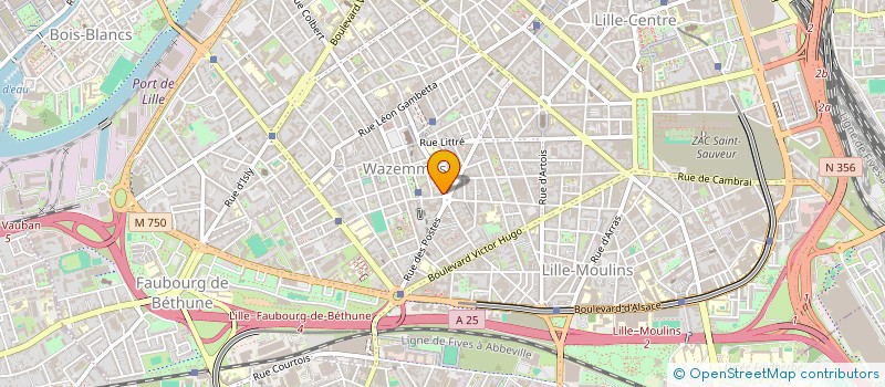 localisation de l'entreprise MONSIEUR CHRISTOPHE PAULIN à LILLE