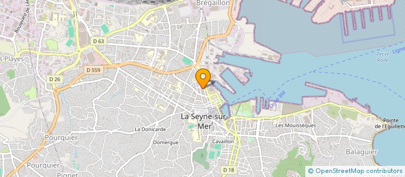 localisation de l'entreprise MONSIEUR CHRISTOPHE PERRAUD à LA SEYNE-SUR-MER