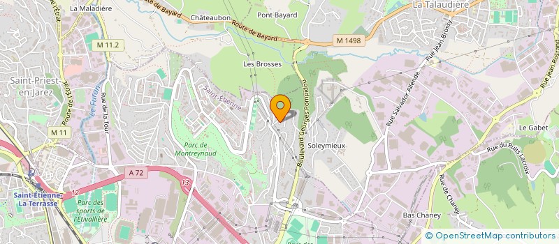 localisation de l'entreprise MONSIEUR CHRISTOPHE RAMELLI  SAINT-ETIENNE