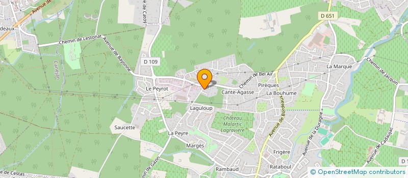 localisation de l'entreprise MONSIEUR CHRISTOPHE SALVADOR  LEOGNAN