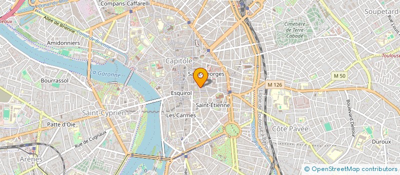 localisation de l'entreprise MONSIEUR CHRISTOPHE SCHMITS  TOULOUSE