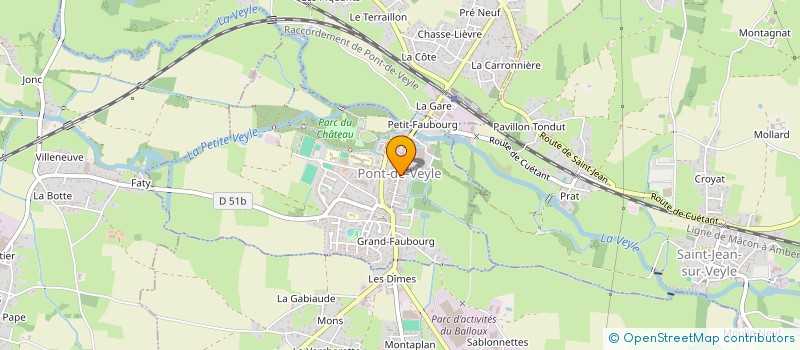 localisation de l'entreprise MONSIEUR CHRISTOPHE THIEUX à PONT-DE-VEYLE