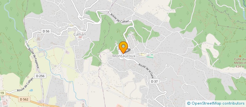 localisation de l'entreprise MONSIEUR CHRISTOPHE VIGGIANIELLO à MONTAUROUX