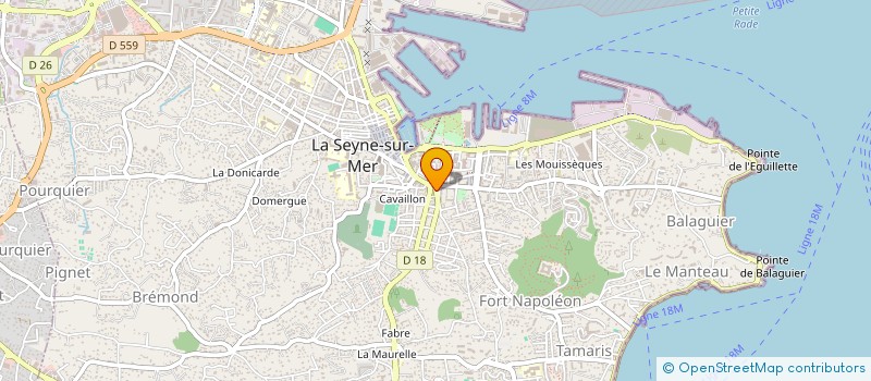 localisation de l'entreprise MONSIEUR CHRISTOPHE VIVIAN à LA SEYNE-SUR-MER