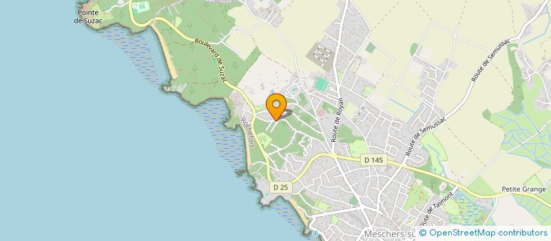 localisation de l'entreprise MONSIEUR CHRISTOPHE ZULBERTI  MESCHERS-SUR-GIRONDE