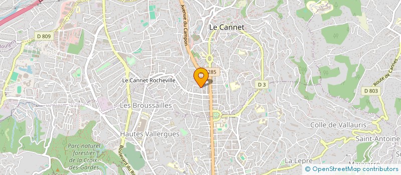 localisation de l'entreprise MONSIEUR CHRISTOPHER BLACKBURN à LE CANNET