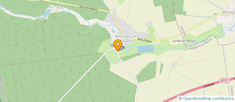 localisation de l'entreprise MONSIEUR CHRISTOPHER BLANCHOUIN à MONTIGNY-LE-CHARTIF