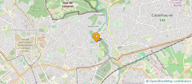 localisation de l'entreprise MONSIEUR CHRISTOPHER CARSTENS à MONTPELLIER