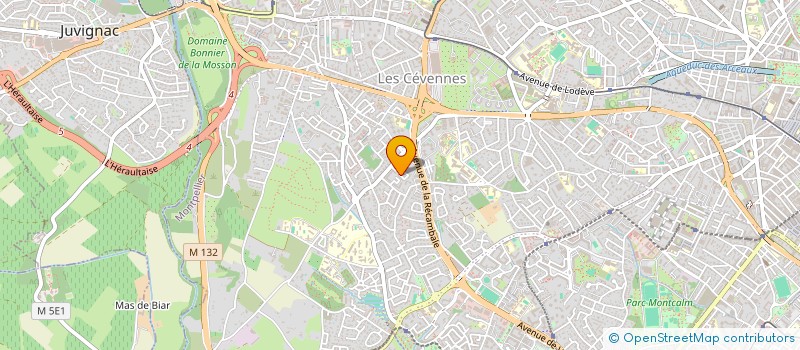 localisation de l'entreprise MONSIEUR CHRISTOPHER GRONDIN à MONTPELLIER