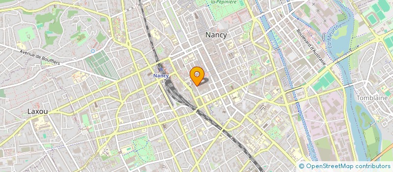 localisation de l'entreprise MONSIEUR CHRISTOPHER RICCETTI  NANCY