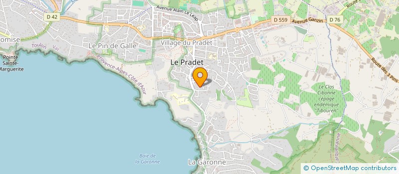 localisation de l'entreprise MONSIEUR CHRISTOPHER VISSE  LE PRADET