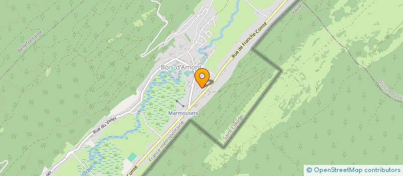 localisation de l'entreprise MONSIEUR CHRSITOPHE CHAVASTELON  BOIS-D'AMONT