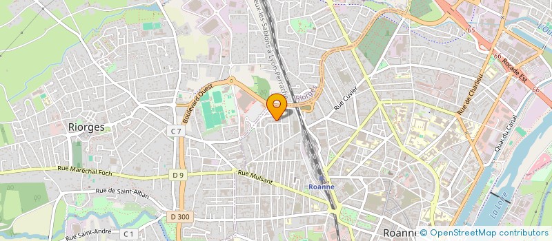 localisation de l'entreprise MONSIEUR CIHAN EROL  ROANNE