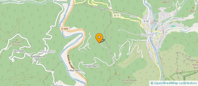 localisation de l'entreprise MONSIEUR CLAUDE BRISSEAU  SAINT-JULIEN-DE-LA-NEF