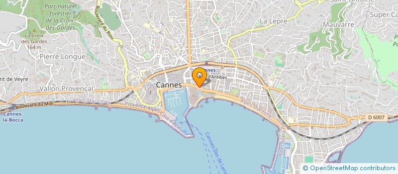localisation de l'entreprise MONSIEUR CLAUDE ELIETTE HERMAN à CANNES
