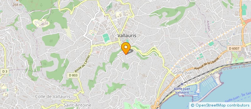 localisation de l'entreprise MONSIEUR CLAUDE GARZO à VALLAURIS