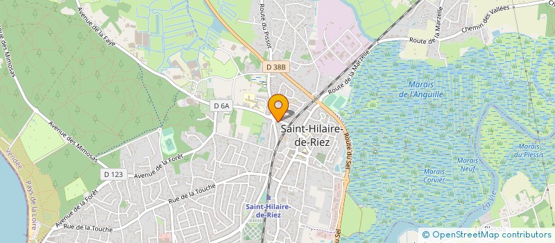 localisation de l'entreprise MONSIEUR CLAUDE NAIN à SAINT-HILAIRE-DE-RIEZ