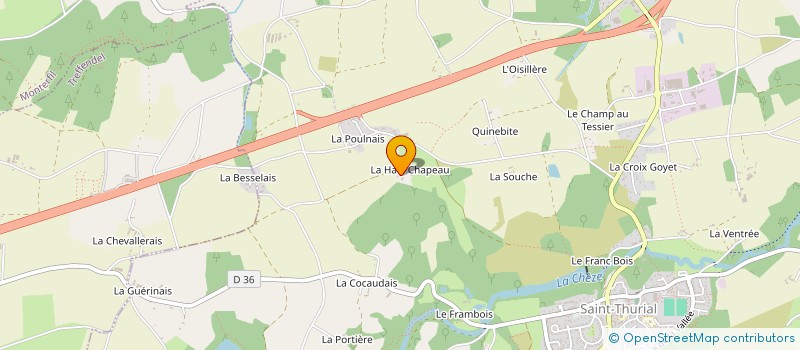 localisation de l'entreprise MONSIEUR CLAUDE PIEL  SAINT-THURIAL