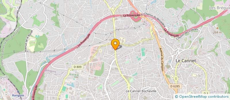 localisation de l'entreprise MONSIEUR CLAUDIU GIUVELEA  LE CANNET