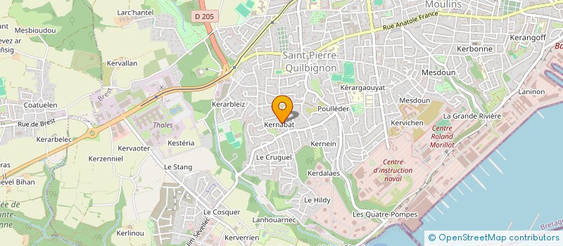 localisation de l'entreprise MONSIEUR CLAUDIU MURESAN à BREST