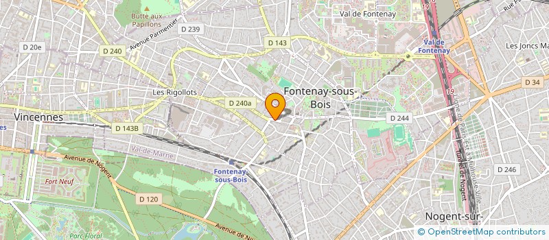 localisation de l'entreprise MONSIEUR CLAUDIU TELESPAN à FONTENAY-SOUS-BOIS
